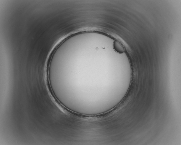 X0000110920894200906181213