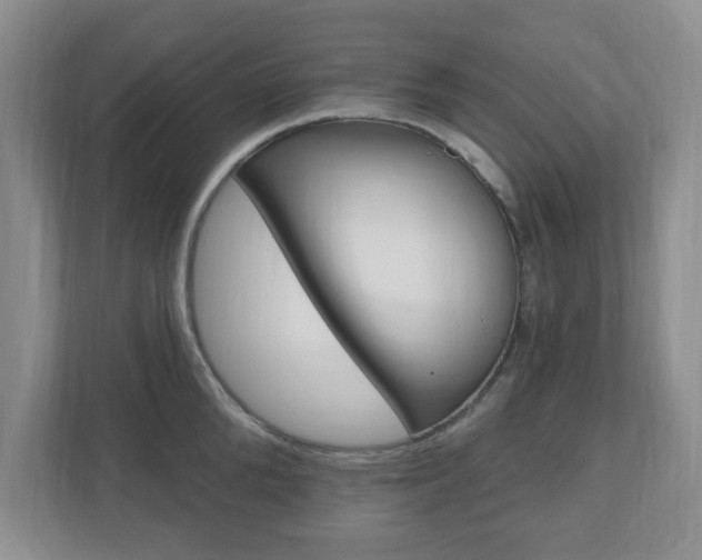 X0000110920904200906181213