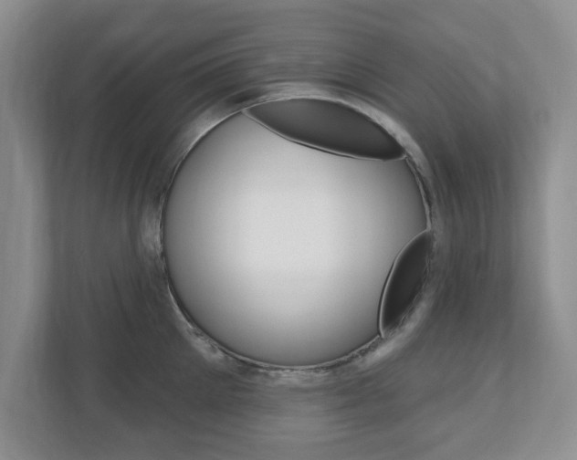 X0000110920905200906181213