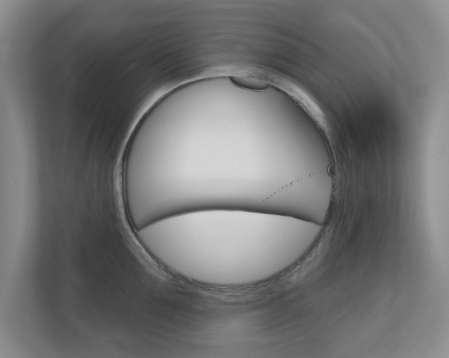 X0000110920907200906181213