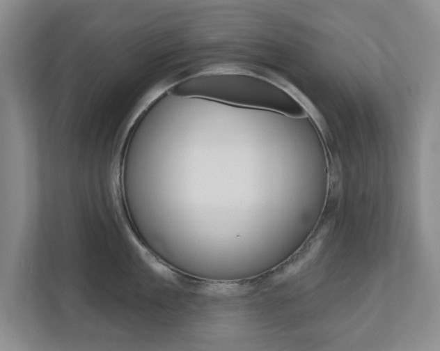 X0000110920909200906181213