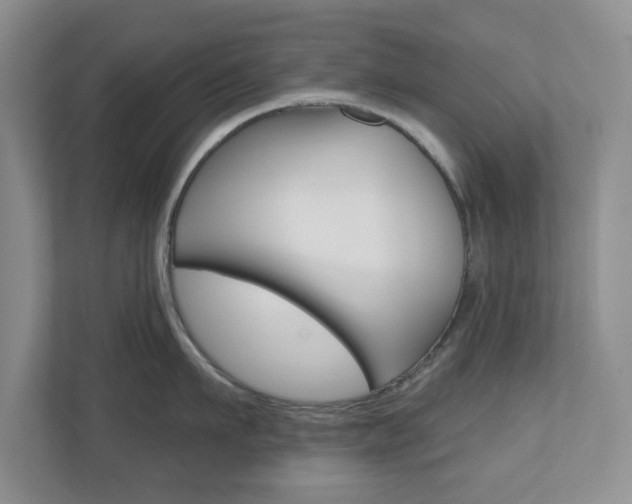 X0000110920911200906181213