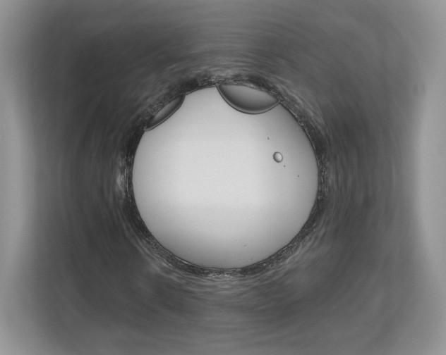 X0000110920914200906181213