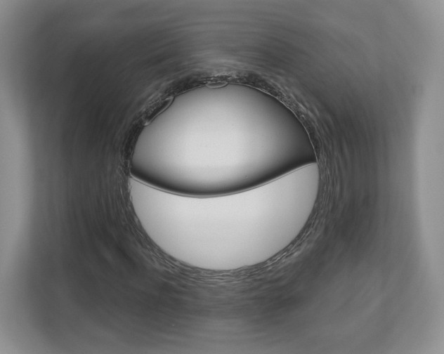 X0000110920916200906181213