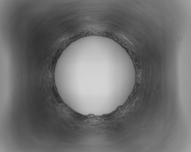 X0000110920917200906181213