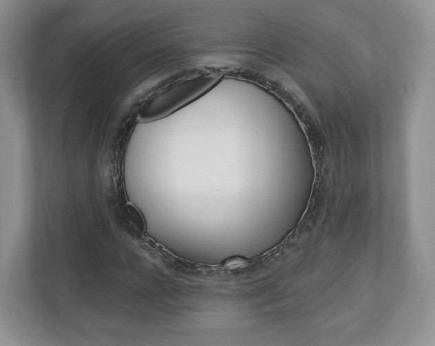 X0000110920920200906181213