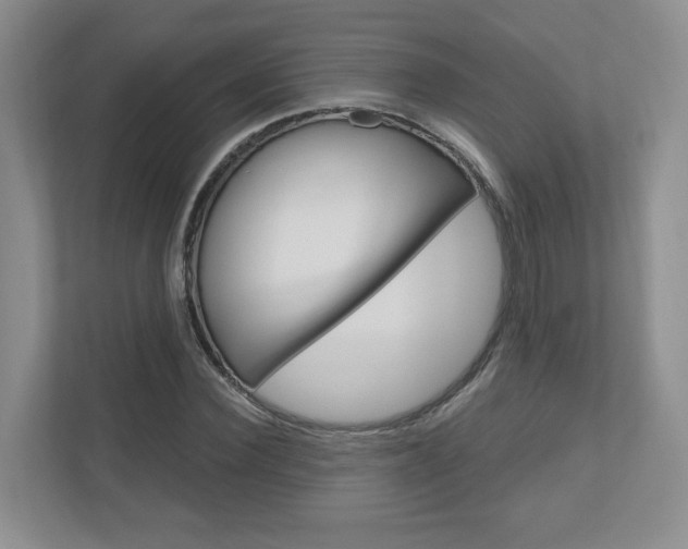 X0000110920924200906181213