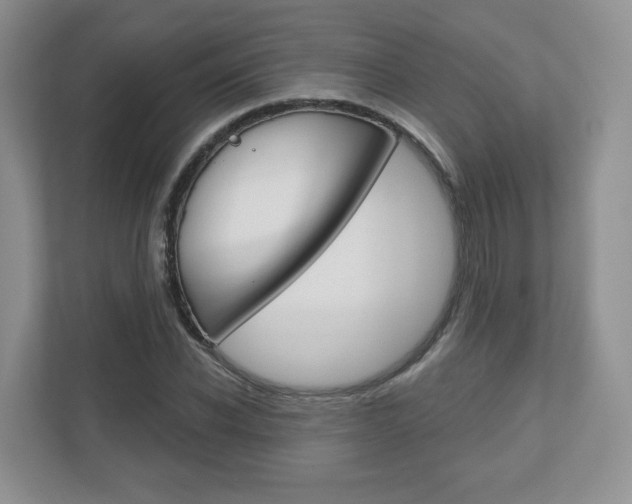 X0000110920926200906181213