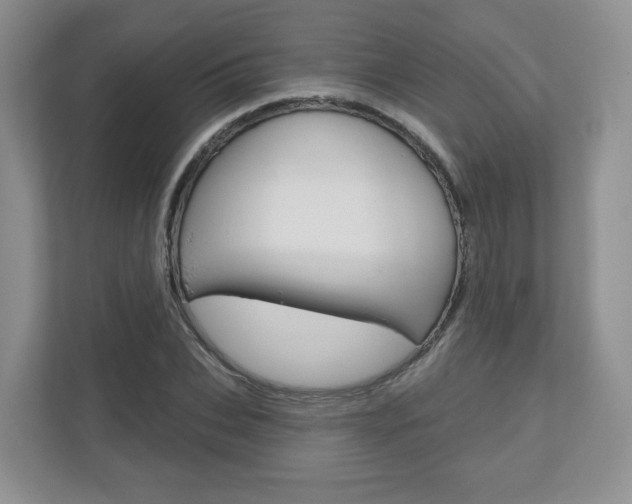 X0000110920927200906181213