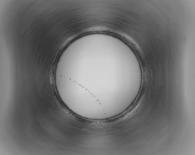 X0000110920929200906181213