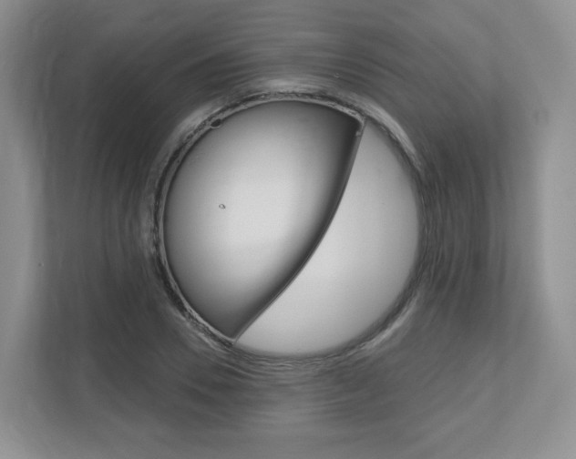X0000110920930200906181213