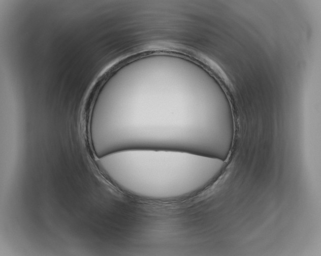 X0000110920931200906181213