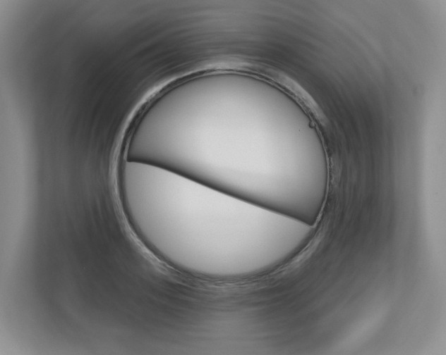 X0000110920939200906181213