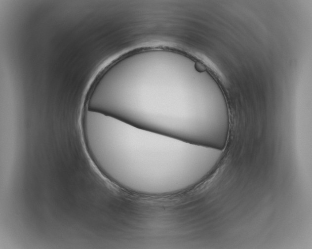 X0000110920943200906181213