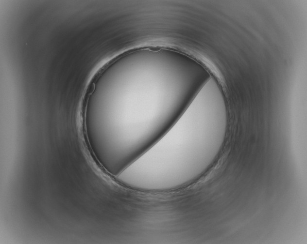 X0000110920944200906181213