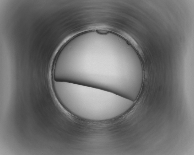 X0000110920947200906181213