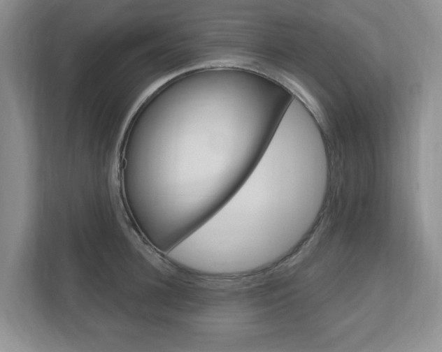 X0000110920948200906181213