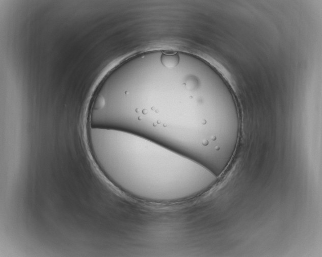 X0000110920949200906181213