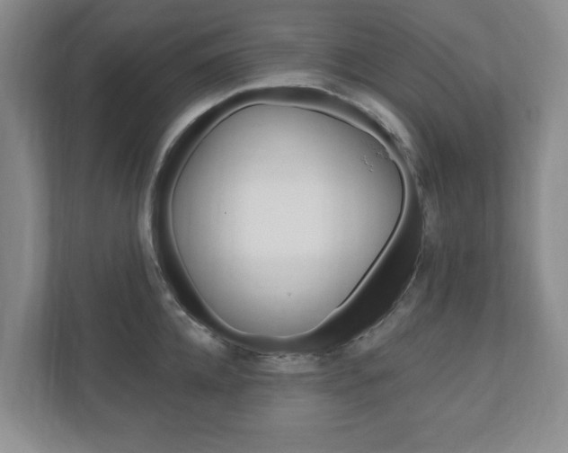 X0000110920952200906181213
