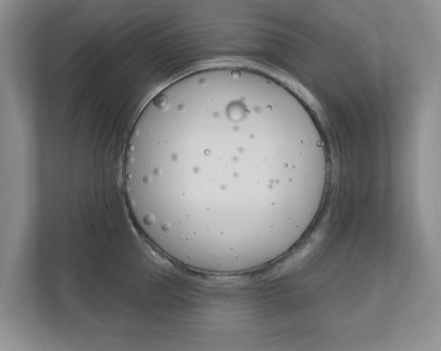 X0000110920953200906181213