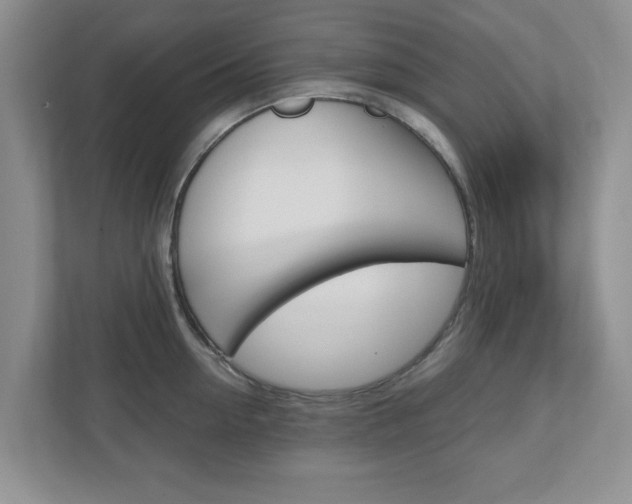 X0000110920954200906181213