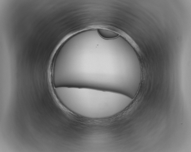 X0000110920955200906181213
