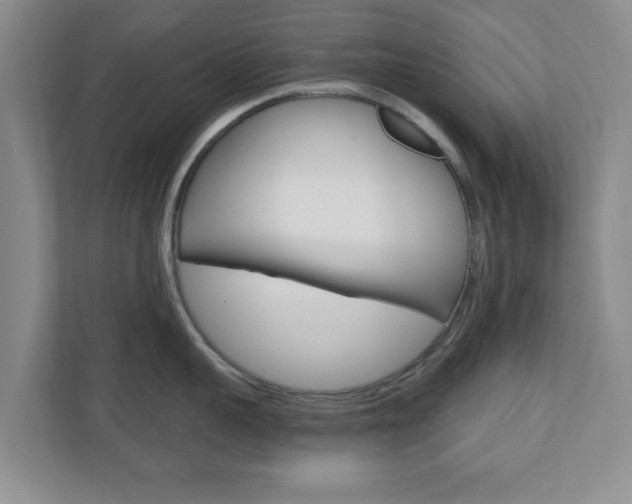 X0000110920959200906181213
