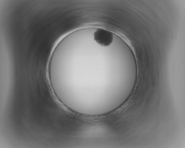 X0000110920960200906181213