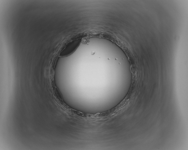 X0000110920961200906181213