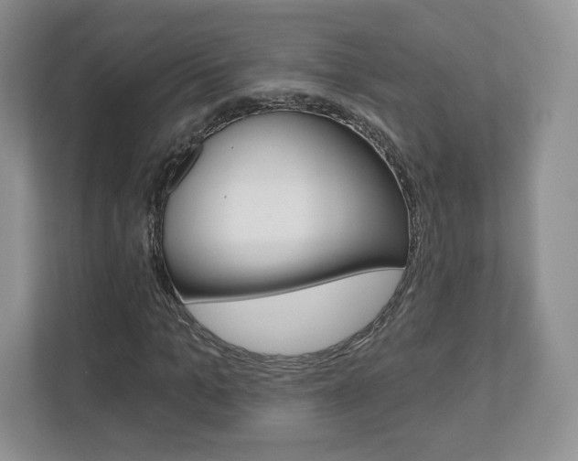 X0000110920965200906181213