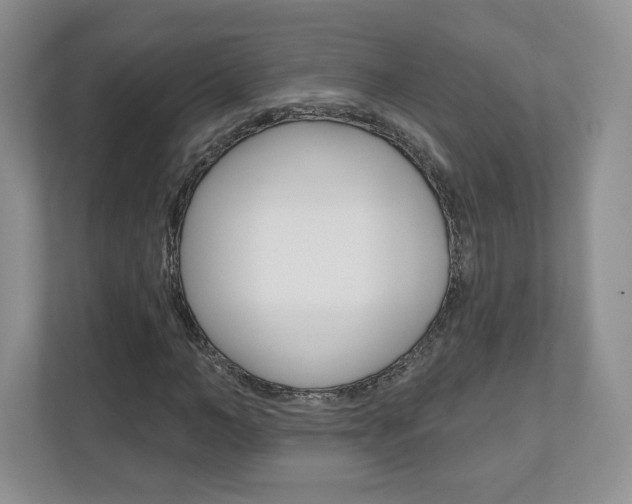 X0000110920966200906181213