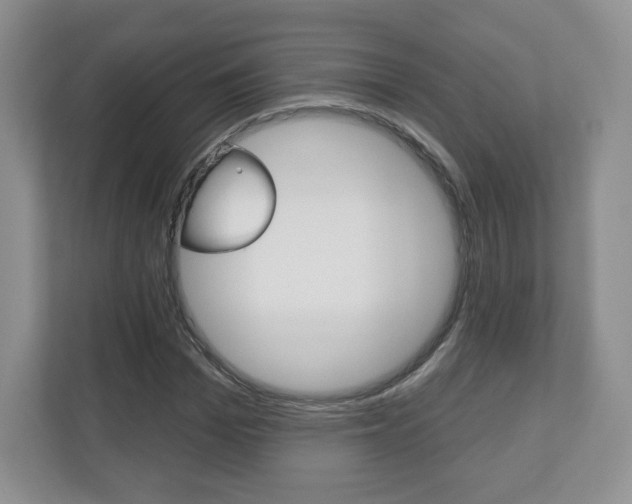 X0000110920969200906181213