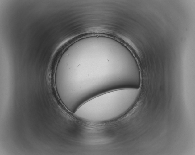 X0000110920971200906181212