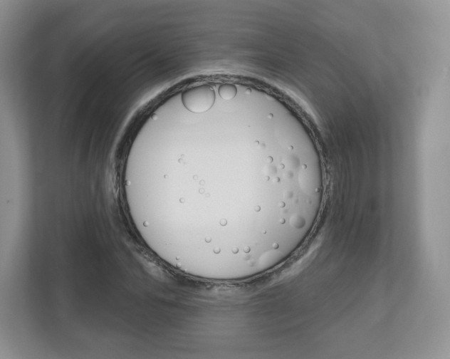 X0000110920974200906181212