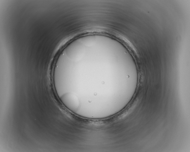 X0000110920978200906181212