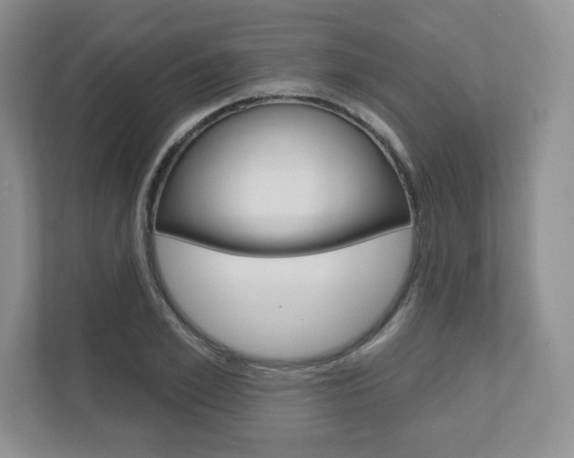 X0000110920981200906181212
