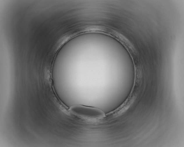 X0000110920985200906181212