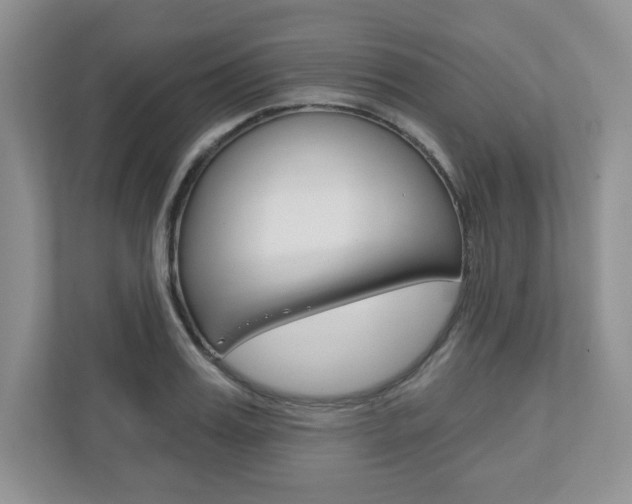 X0000110920987200906181212