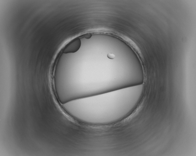 X0000110920989200906181212