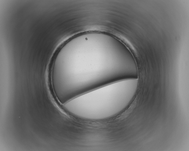 X0000110920991200906181212
