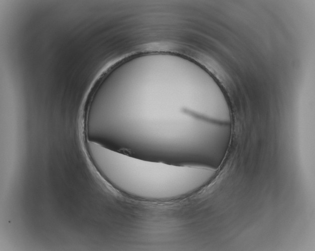 X0000110920992200906181212
