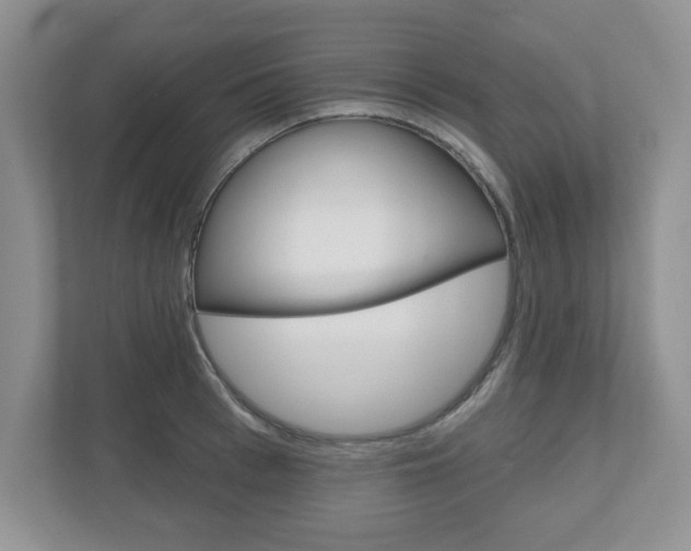 X0000110920993200906181212