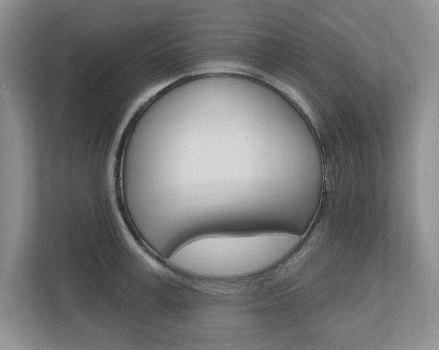 X0000110920995200906181212