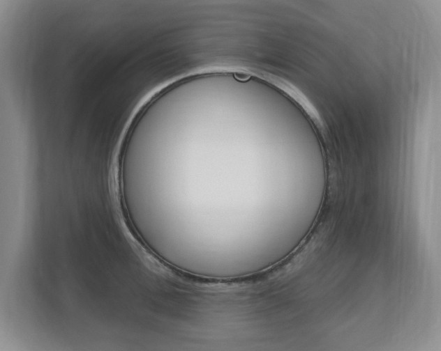 X0000110920996200906181212