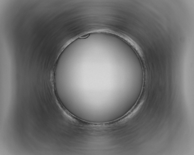 X0000110921001200906181212