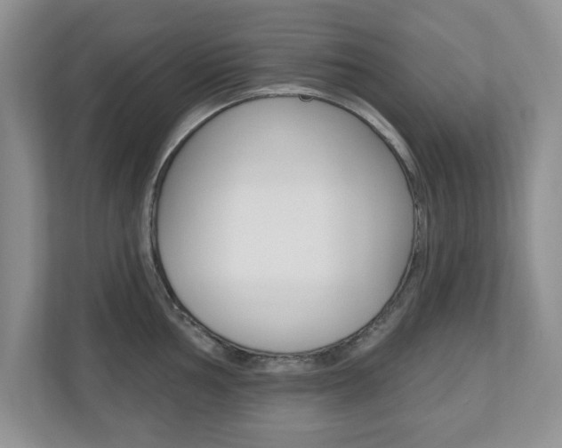 X0000110921002200906181212