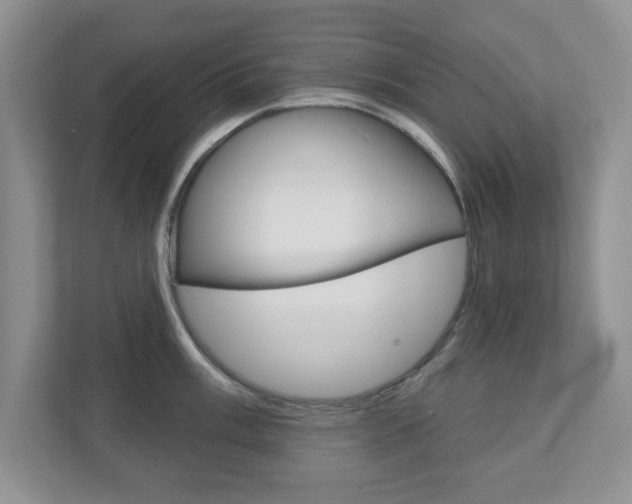 X0000110921003200906181212