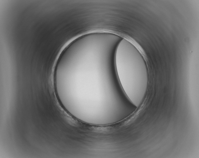 X0000110921004200906181212