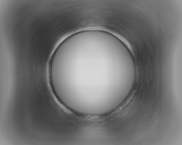 X0000110921006200906181212