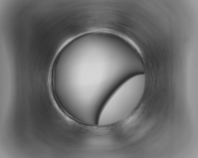 X0000110921007200906181212